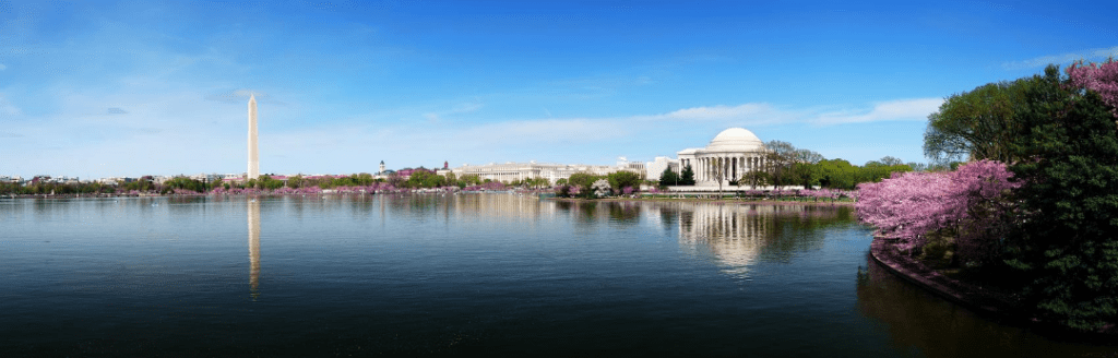 Washington D.C. landscape